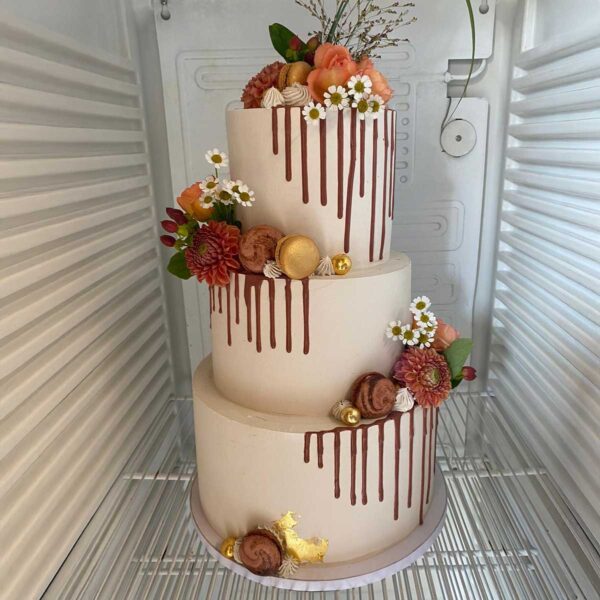 Torte Haley