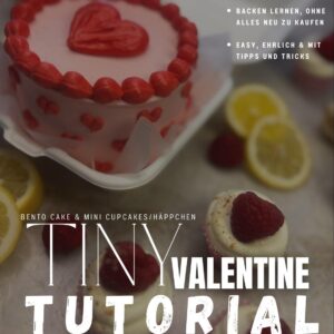 Tutorial "Tiny Valentine" - Bento Cake Tutorial mit mini Cupcakes